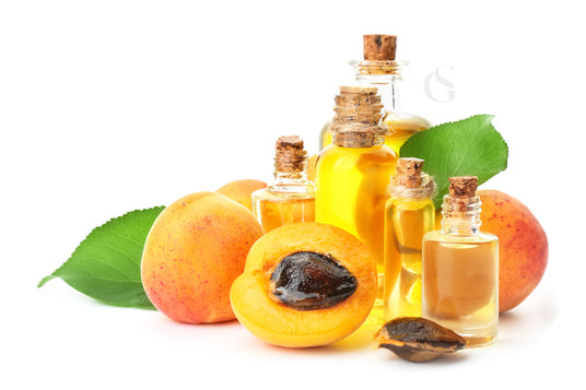 series of small cylindrical glass bottles with cork stoppers surrounded by whole and halved apricots and leaves, one pit in the foreground