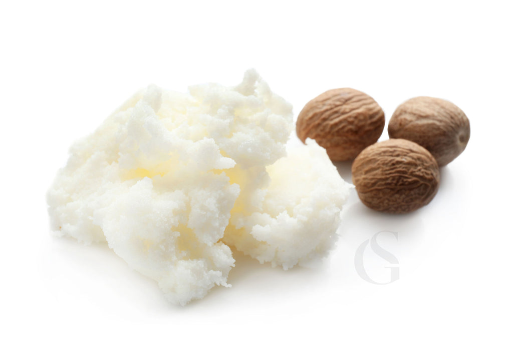 a dollop of shea butter next to three nuts, white background