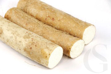 three tube like root vegetables cut at both ends with white flesh, white background