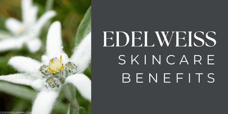 The Benefits of Edelweiss in Skincare: Why This Alpine Flower Is a Powerhouse for Your Skin