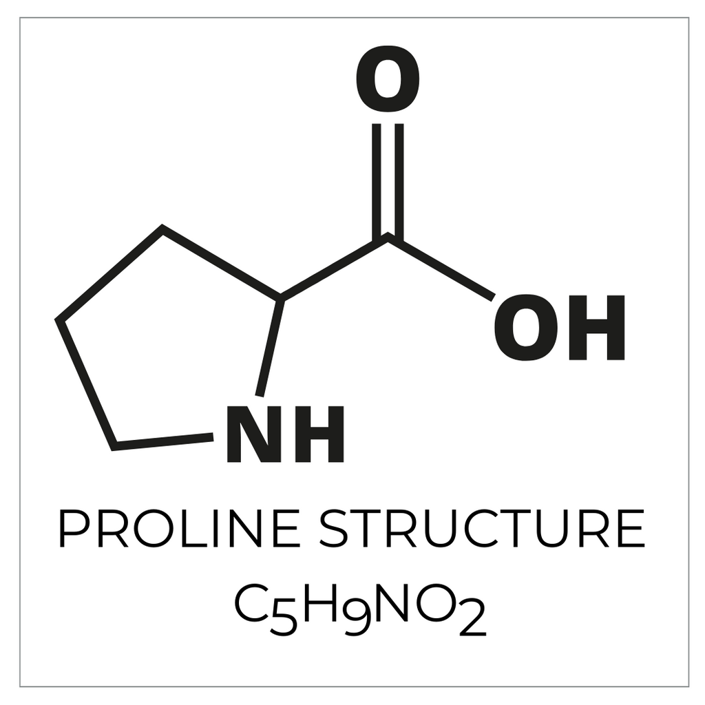 Proline Amino Acid Structure - C5H9NO2