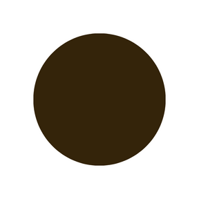 chocolate brown color swatch