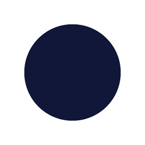 navy color swatch